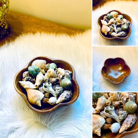 π¦2/$10 3/$15 4/$18 5/$20 Vintage Bowl w/Shells